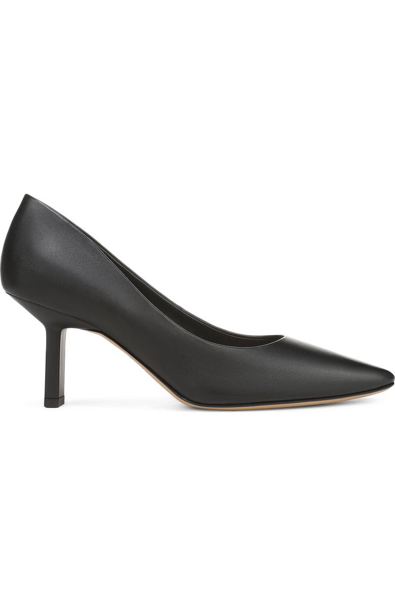 Franco Sarto Julissa Pointed Toe Pump, Alternate, color,