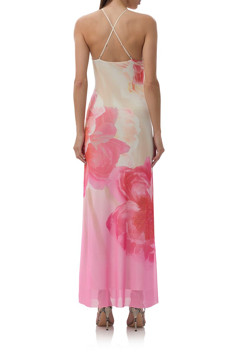 AFRM Romy Floral Mesh Maxi Slipdress, Alternate, color, Cloud Floral