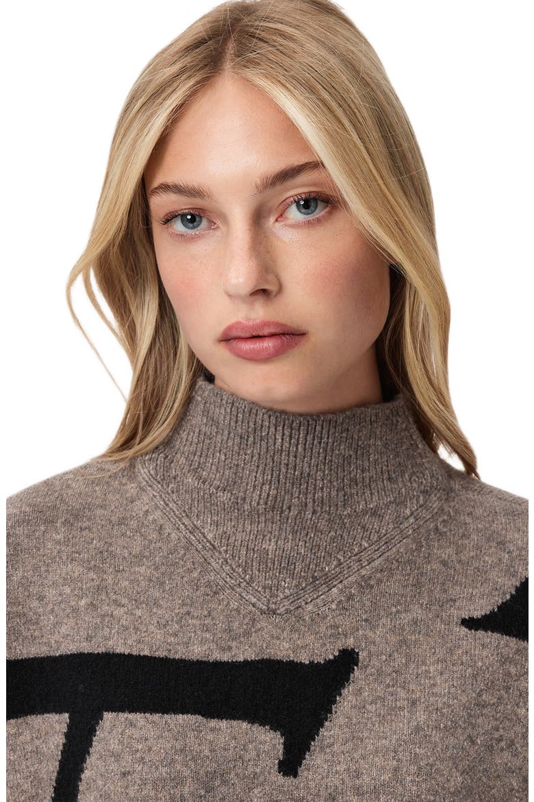 A Star Turtleneck Sweater, Alternate, color, DOE BROWN/ BLACK