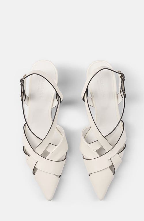 Shop Scarosso Clio Pumps