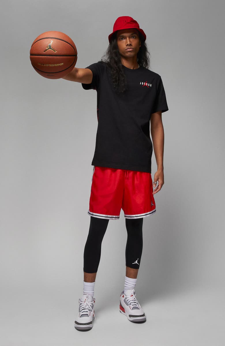 Jordan Graphic Tee, Alternate, color, 