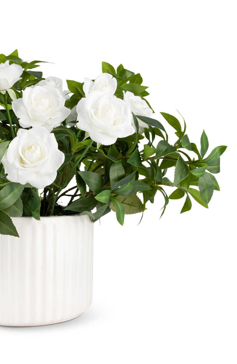 CocoBella Lucienne RealTouch Rosebush Arrangement, Alternate, color, White