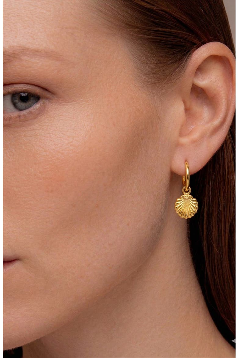Concha Mini Charm Hoop Earrings in Gold, Alternate, color, Gold