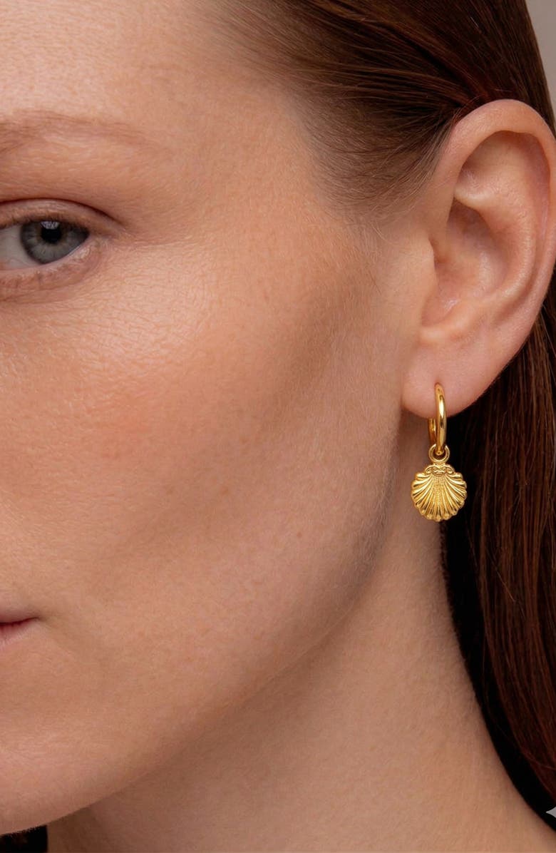 YOJ Concha Mini Charm Hoop Earrings in Gold, Alternate, color, Gold