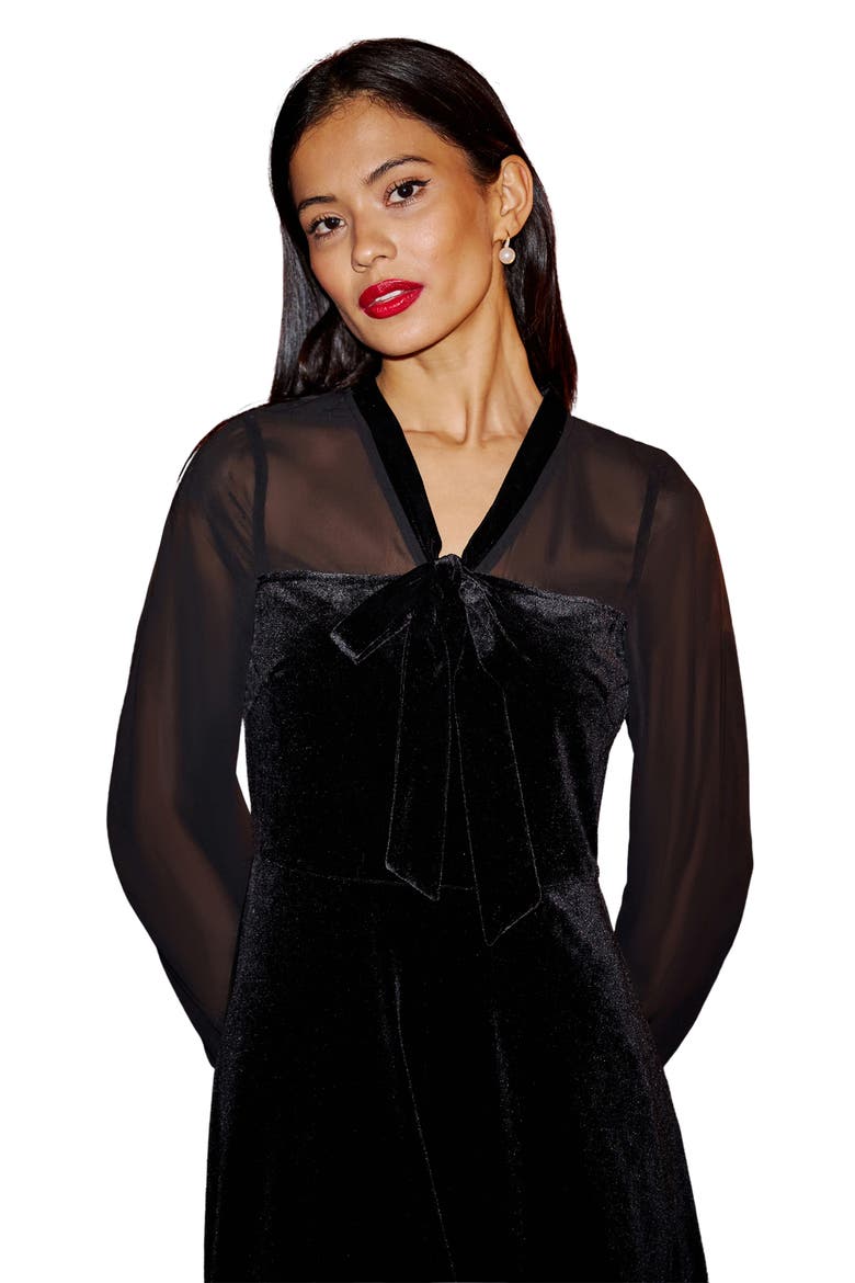 Velvet  Sheer Sleeves Skater Dress, Alternate, color, Black