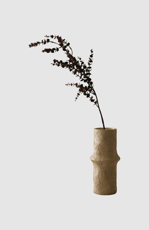 Dark Green Parvifolia Gunni Eucalyptus Leaves
