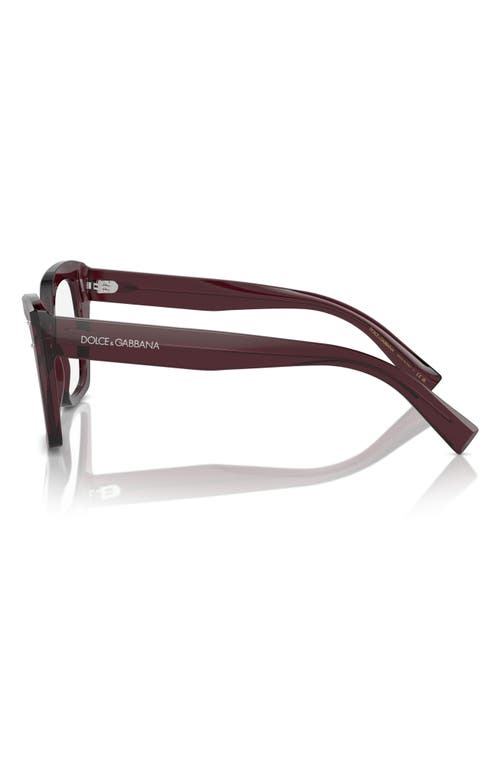 Dolce & Gabbana Dolce&gabbana 53mm Butterfly Reading Glasses In Transparent Violet
