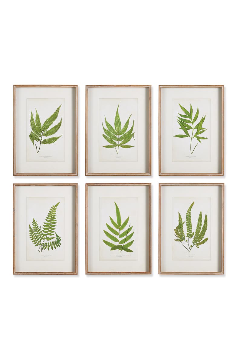 Napa Home & Garden Forest Greenery Prints Set of 6, Main, color, Off-White