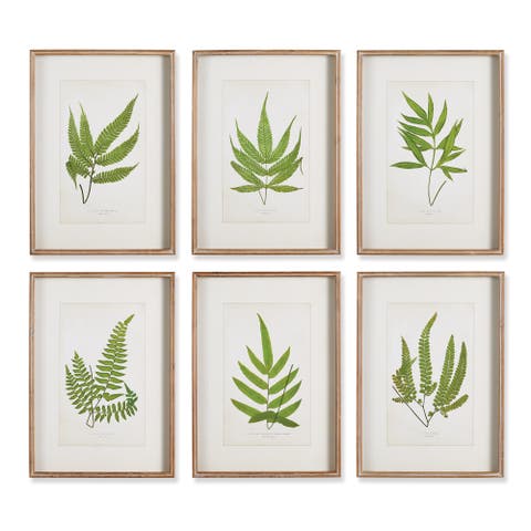 Forest Greenery Prints Set of 6