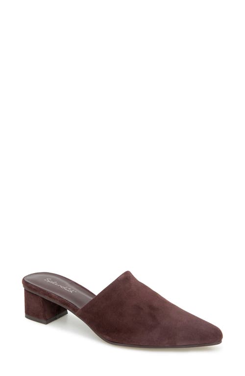 Splendid Lorelei Mule In Burgundy