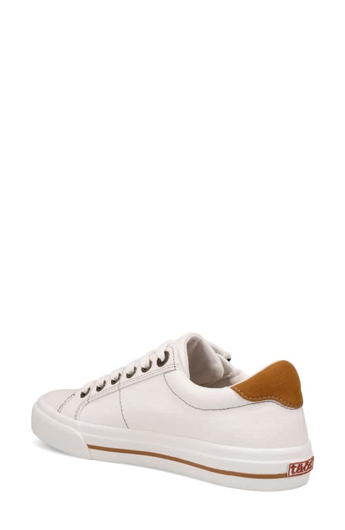 Taos Z-soul Platform Sneaker In Multi