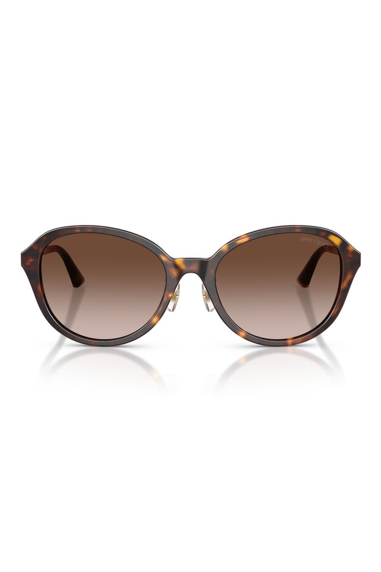 54mm Phantos Sunglasses, Main, color, HAVANA / GRADIENT BROWN