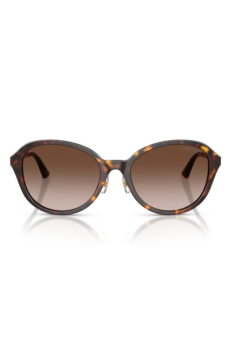 Jimmy Choo 54mm Phantos Sunglasses, Main, color, Havana / Gradient Brown