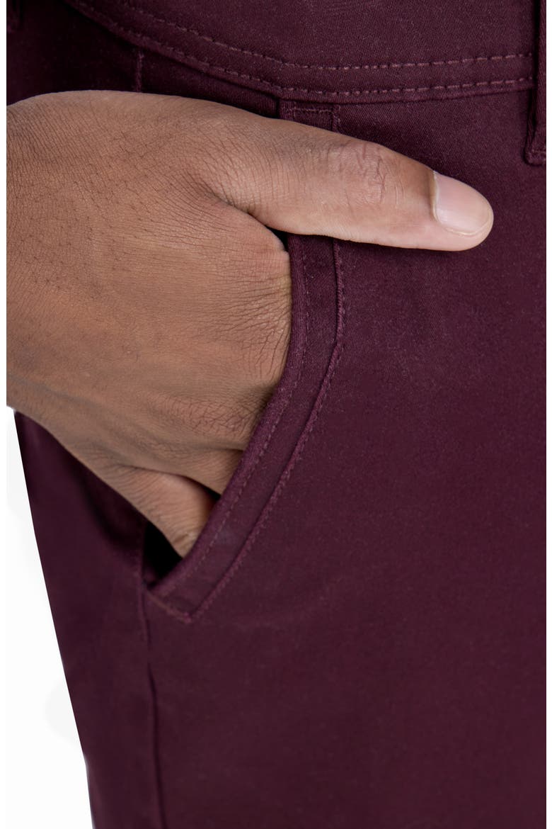 Commuter Chino Pants, Alternate, color, FIG