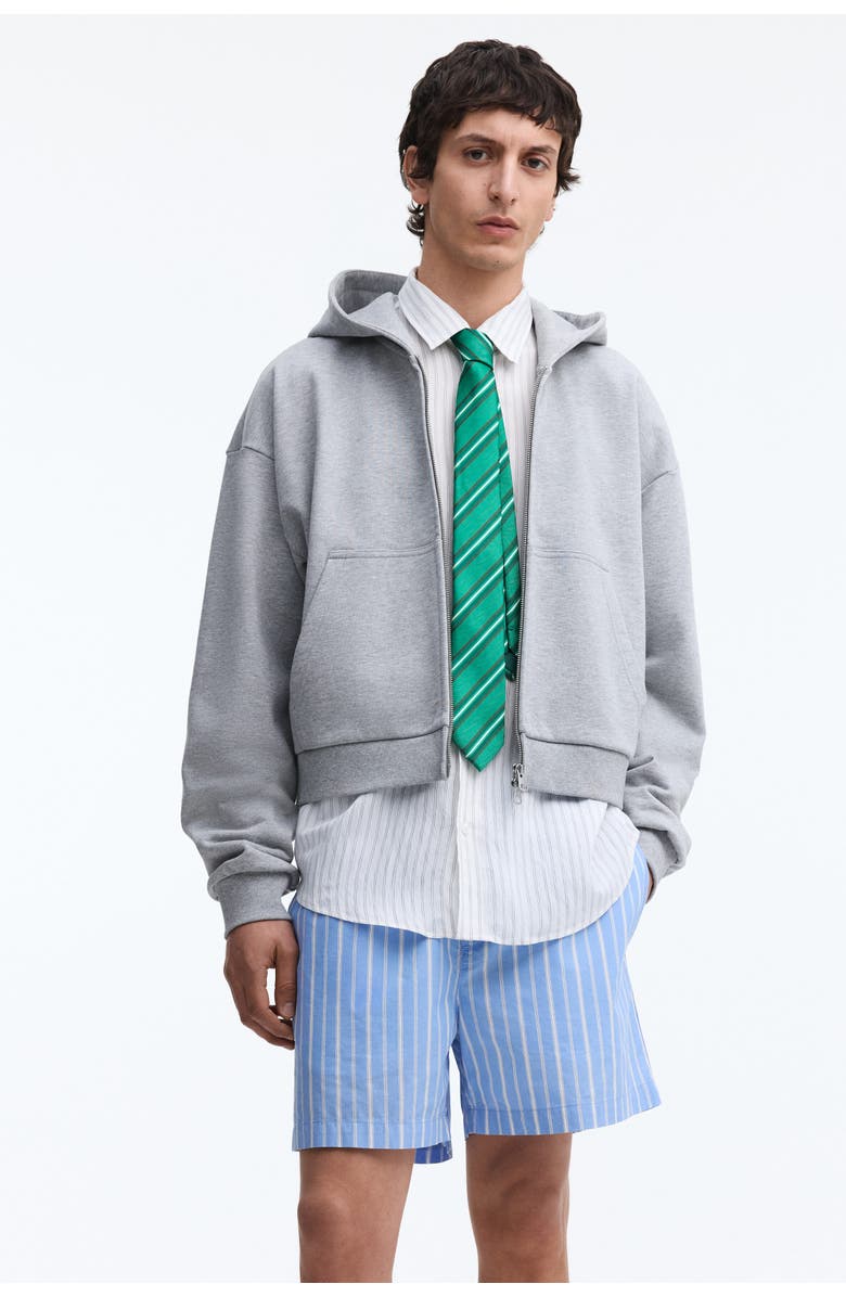 H&M Regular Fit Cotton Shorts, Alternate, color, Light Blue/Striped