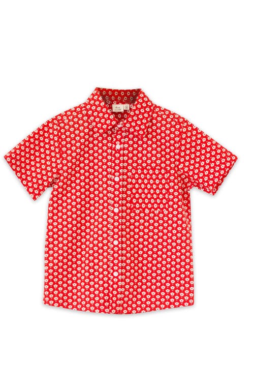 Shop Beet World Boys Collar Shirt In Red