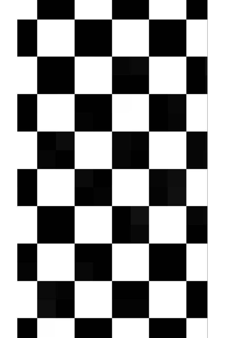 Chiffon Scarf, Alternate, color, Checkered Flag Racing