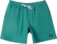 Quiksilver Everyday Solid Volley Swim Trunks
