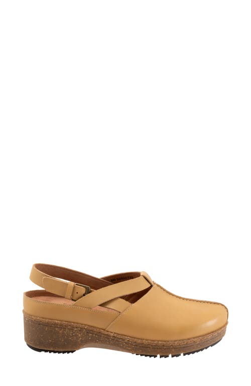 Softwalk ® Arica Slingback Clog In Dusk Yellow