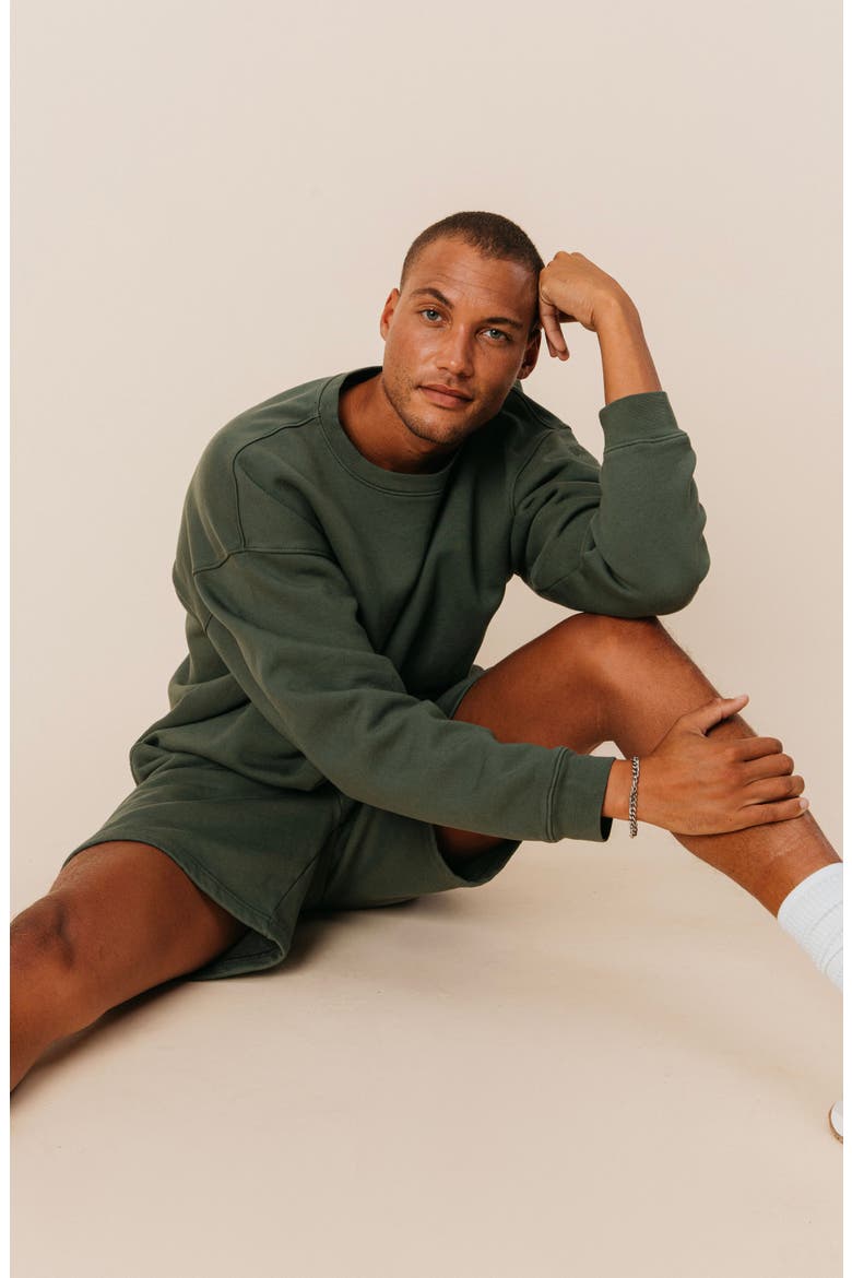 Men's Organic Cotton Teddy Everywhere Shorts, Alternate, color, Spruce