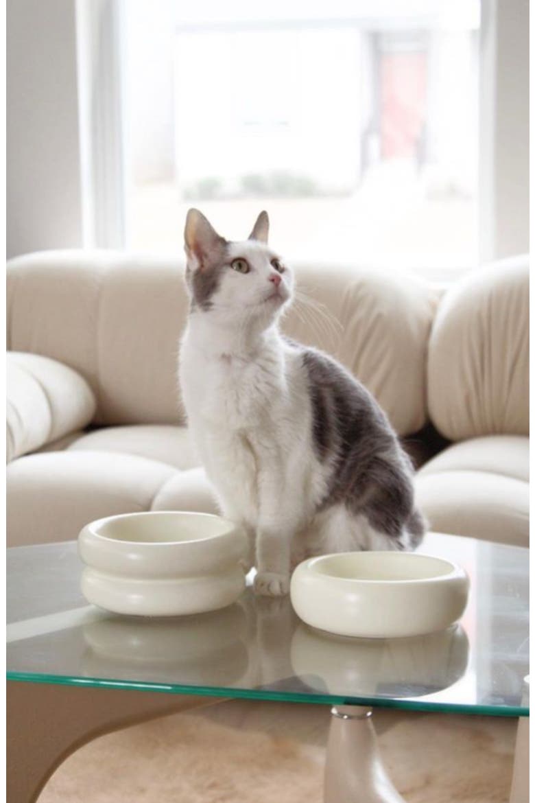 Halo Elevated Cat Bowl, Alternate, color, WHITE