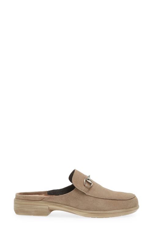 Naot Halny Mule In Almond Suede