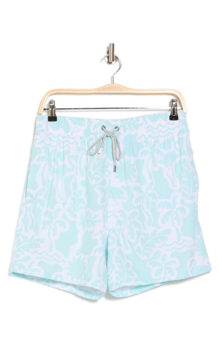 Vintage Summer 4-Way Stretch Volley Swim Trunks, Alternate, color, Mint