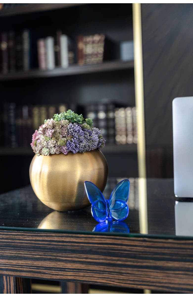 CocoBella Valencia Gold Sedum, Alternate, color, Gold