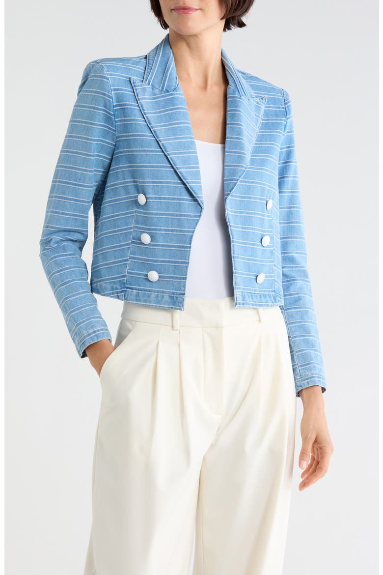 Dolly Cropped Striped Blazer, Main, color, TEMPE