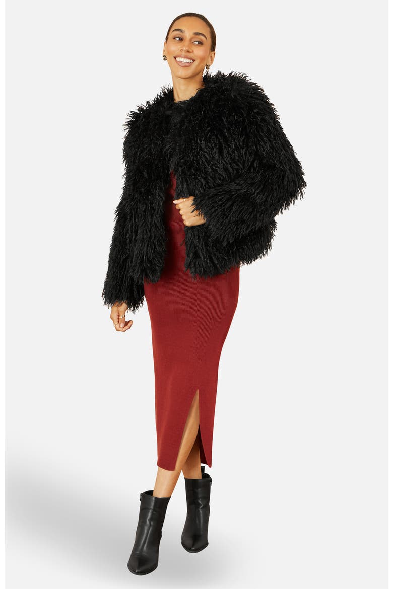 Fluffy Cropped Faux Fur Coat, Alternate, color, Black