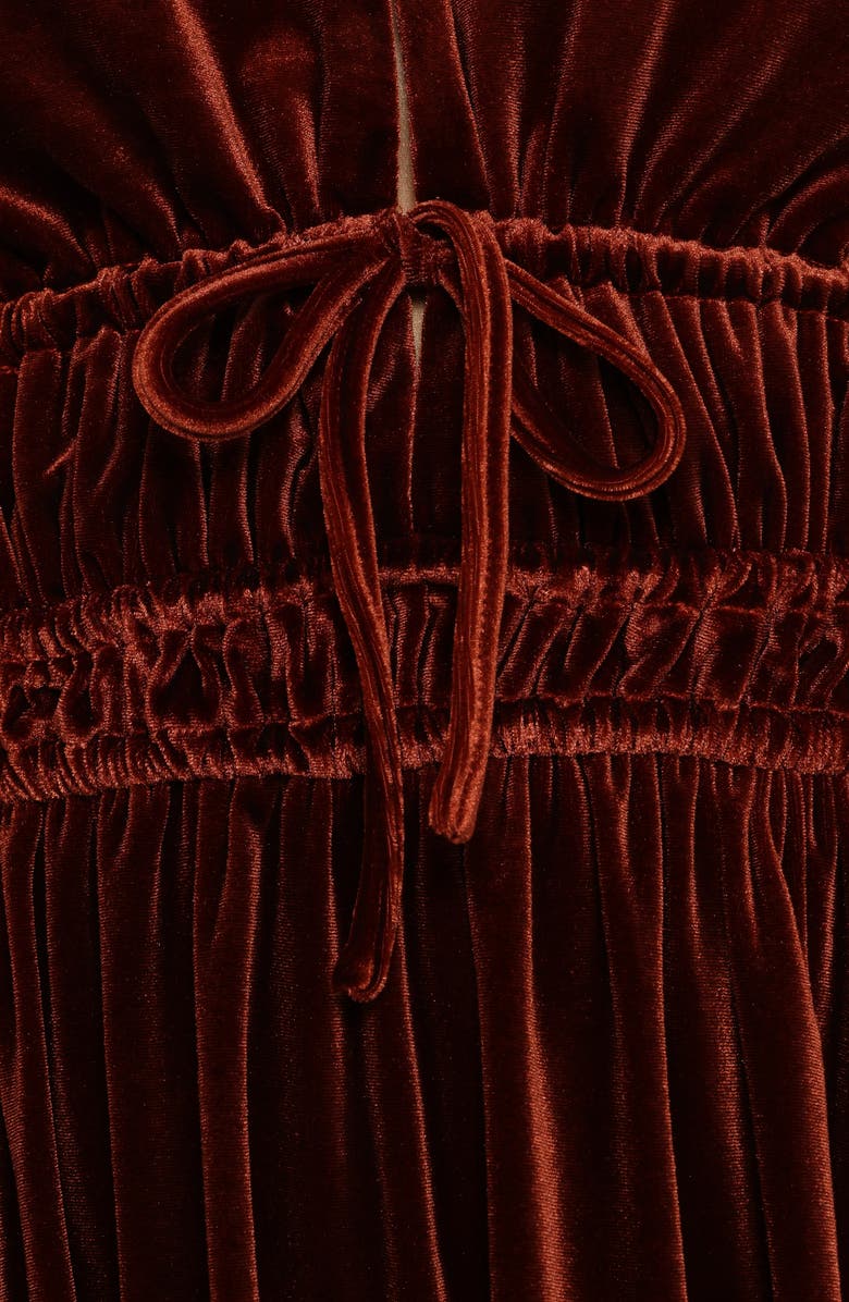 Petal & Pup Cece Long Sleeve Velvet Maxi Dress, Alternate, color, Rust