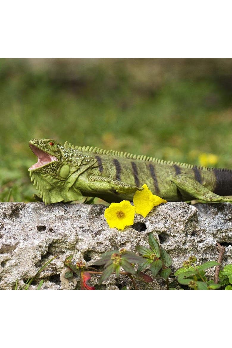 Iguana Toy, Alternate, color, No Color