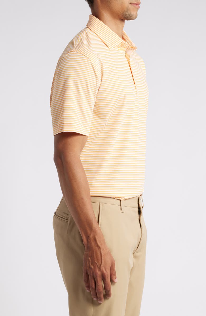Peter Millar Cedar Stripe Performance Polo, Alternate, color, 
