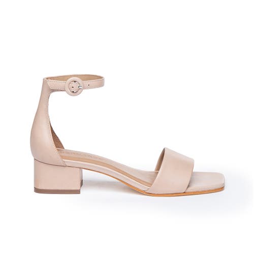 Shop Bernardo Footwear Jalena Ankle Strap Sandal In Blush