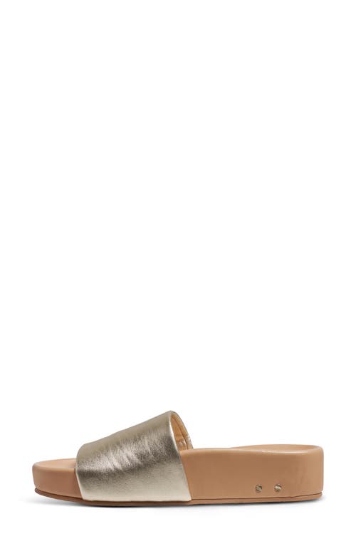 Beek Pelican Slide Sandal In Platinum Beach