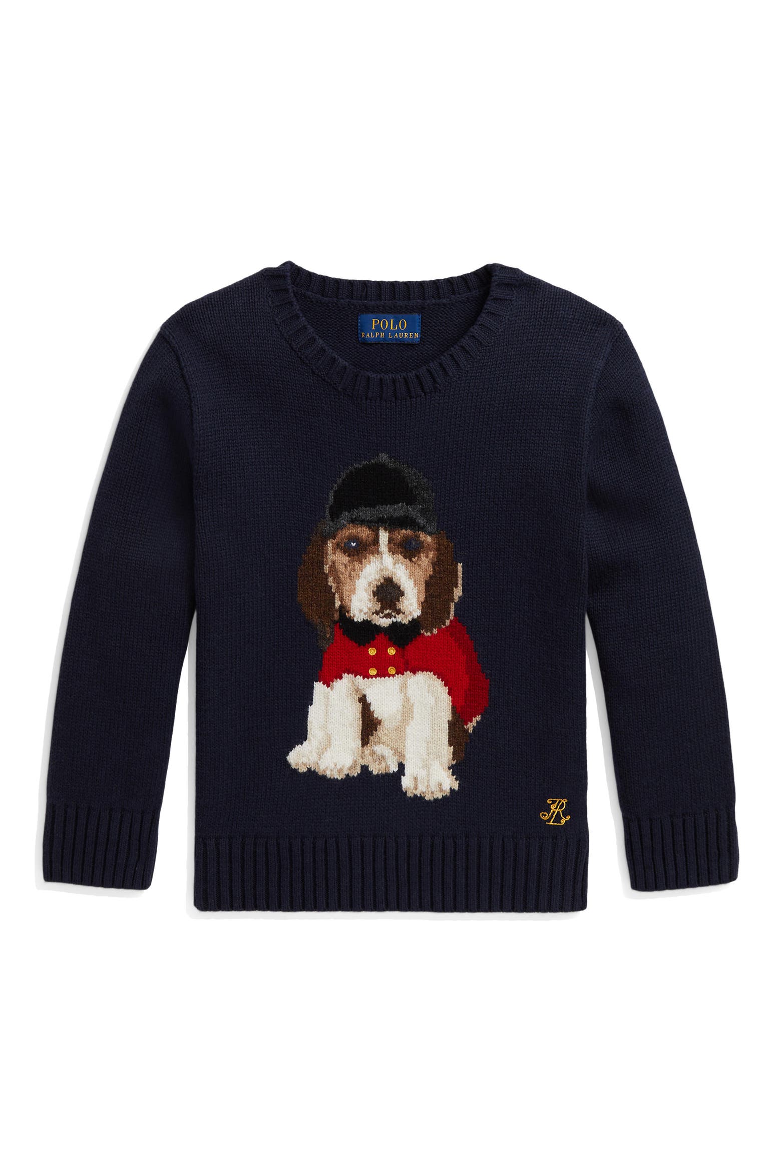 Beagle Coding Polo Ralph Lauren Kids' Beagle Intarsia Cotton Sweater | Nordstrom