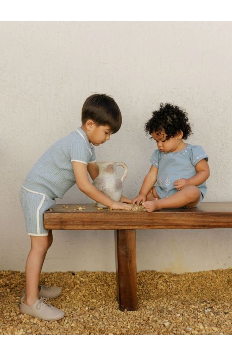 Ely's & Co. Looms Embroidered Trim Collection - Cable Knit Polo, Alternate, color, Blue/Ivory