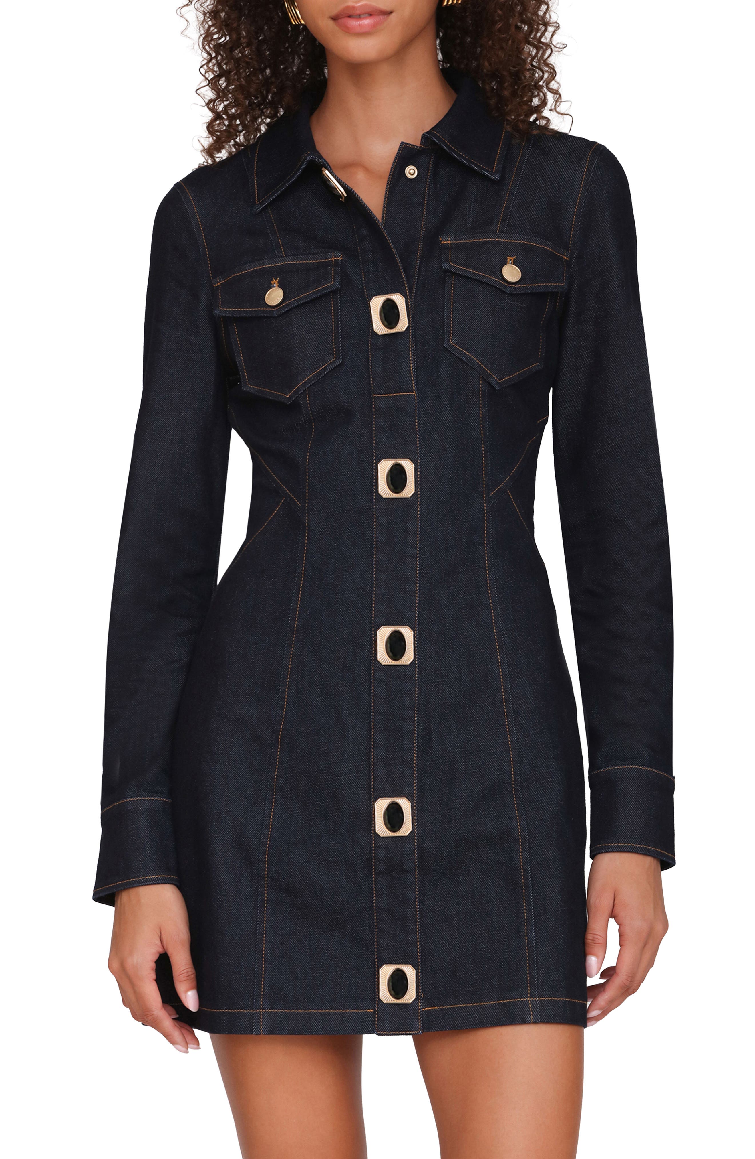 Seamed Stretch Denim Shirtdress