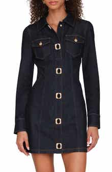 Seamed Stretch Denim Shirtdress