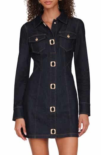 Seamed Stretch Denim Shirtdress