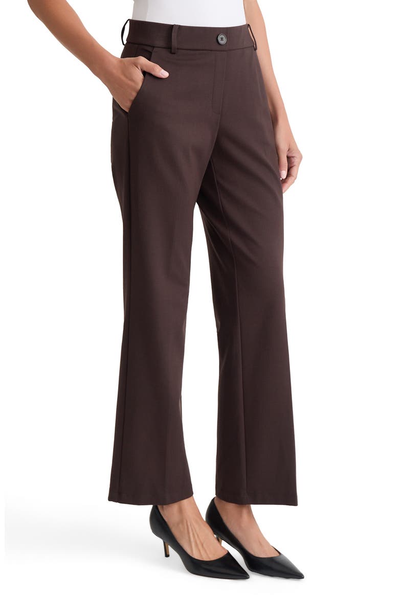 Faux Fly Pull-On Pants, Alternate, color, RICH CHOCOLATE