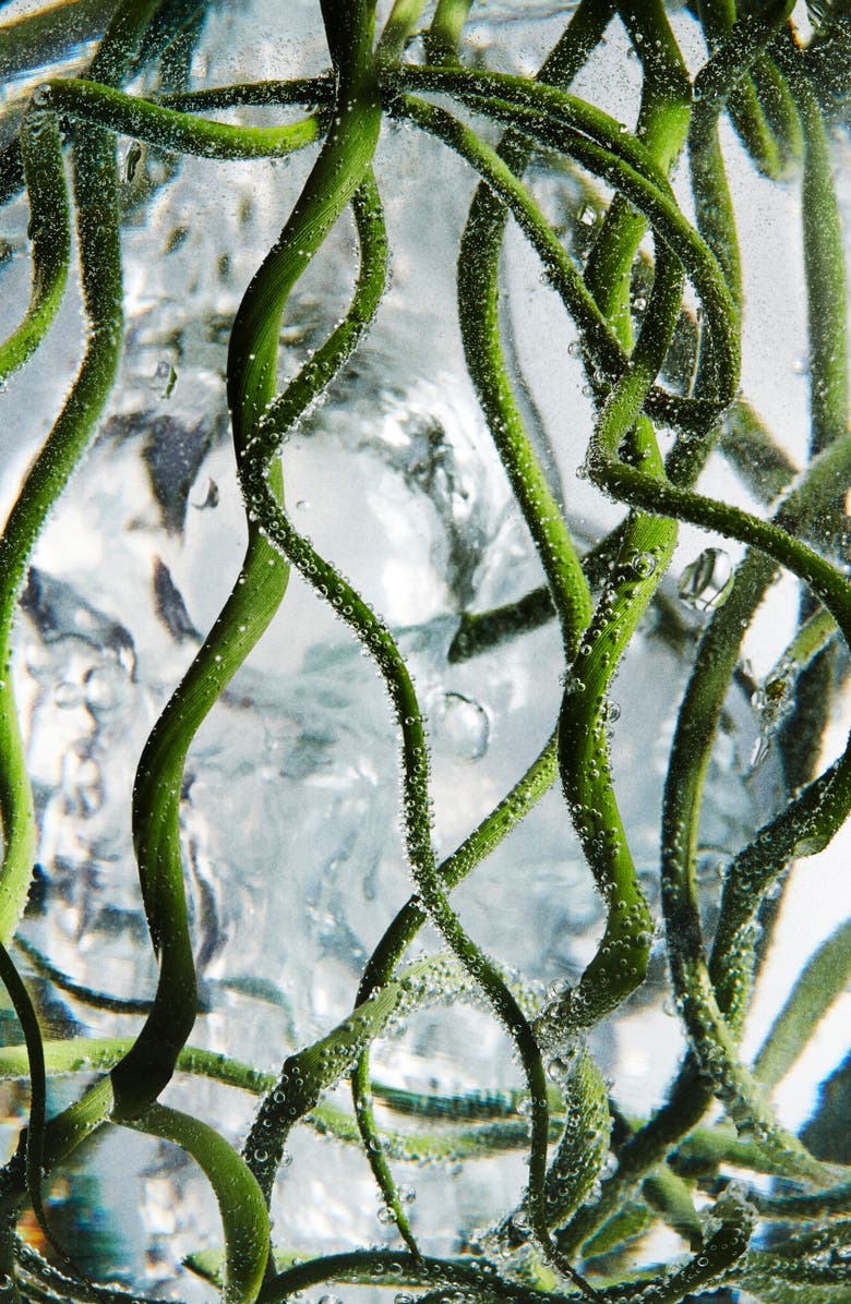 Erno Laszlo Firmarine<sup>™</sup> Moisturizer SPF 30, Alternate, color,