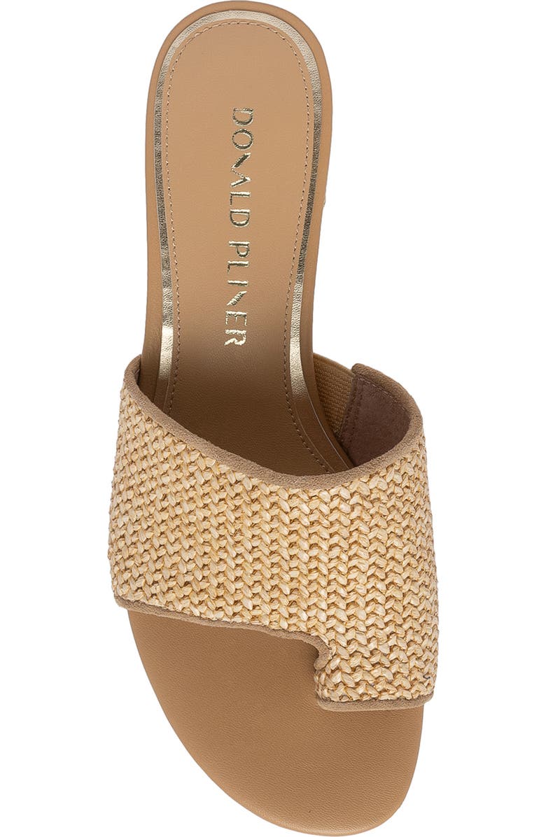 Donald Pliner Block Heel Toe Loop Sandal, Alternate, color,
