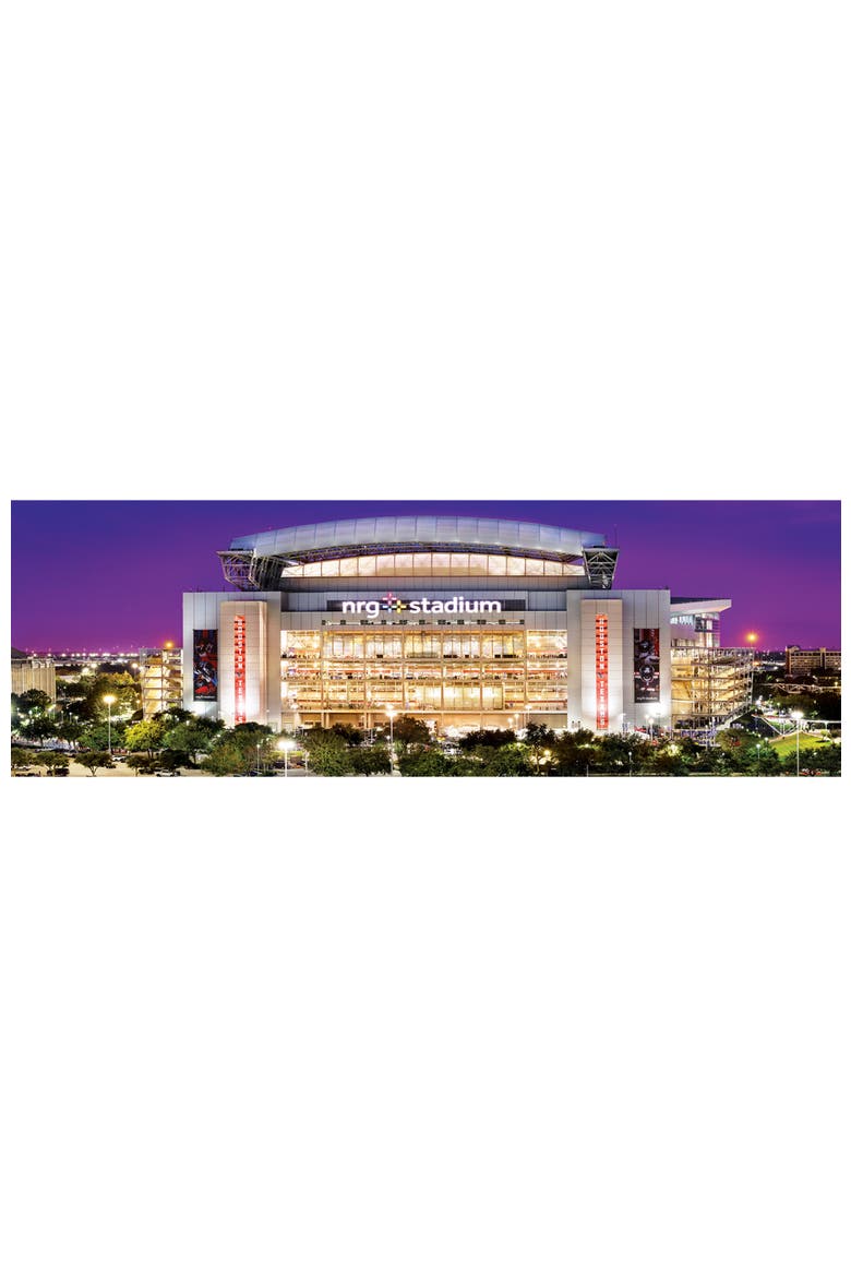 Houston Texans 1000pc Panoramic Puzzle, Alternate, color, Multicolor