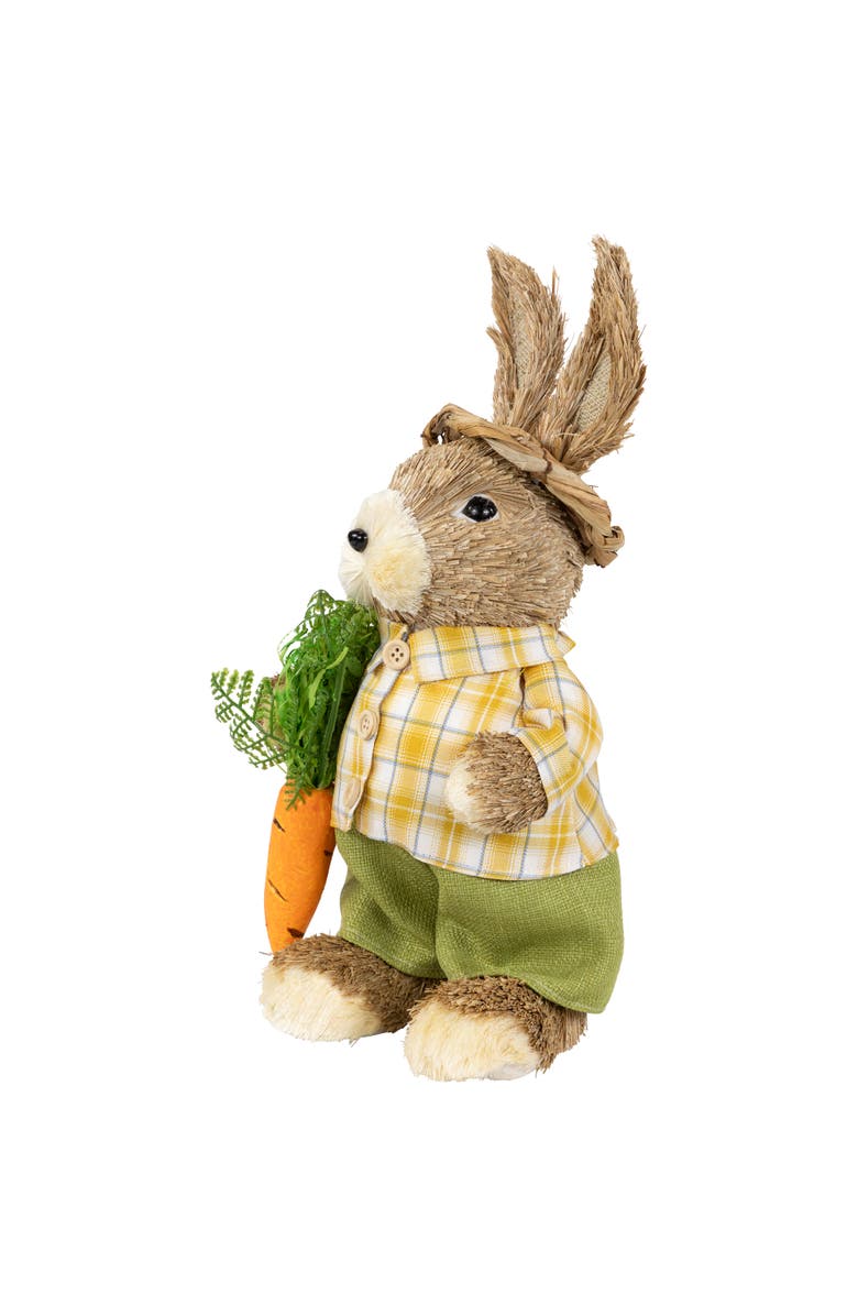 Northlight Rustic Boy Rabbit with Carrot Standing Easter Figure - 13.75" - Brown and Yellow, Alternate, color, Brown