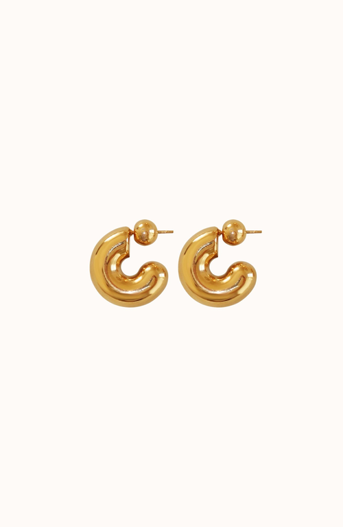 Joiana Jewelry The Perfect Hoops Earrings In Gold