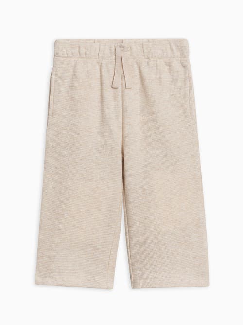 Kendi Clove Waffle Knit Pants In Neutral