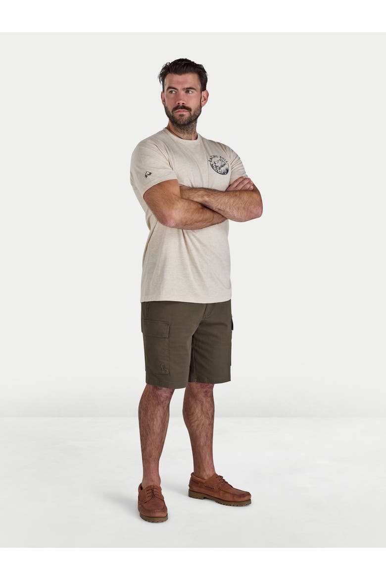Mountains Printed T-Shirt, Alternate, color, Toast Marl