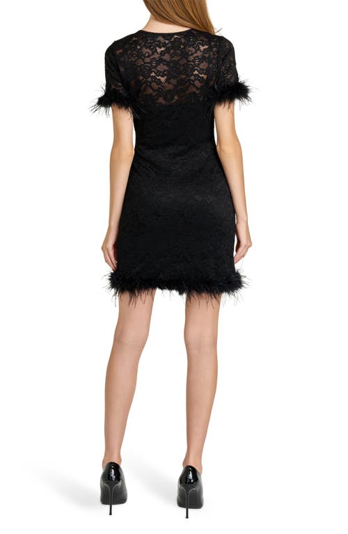 Wayf Alina Feather Lace Minidress In Black