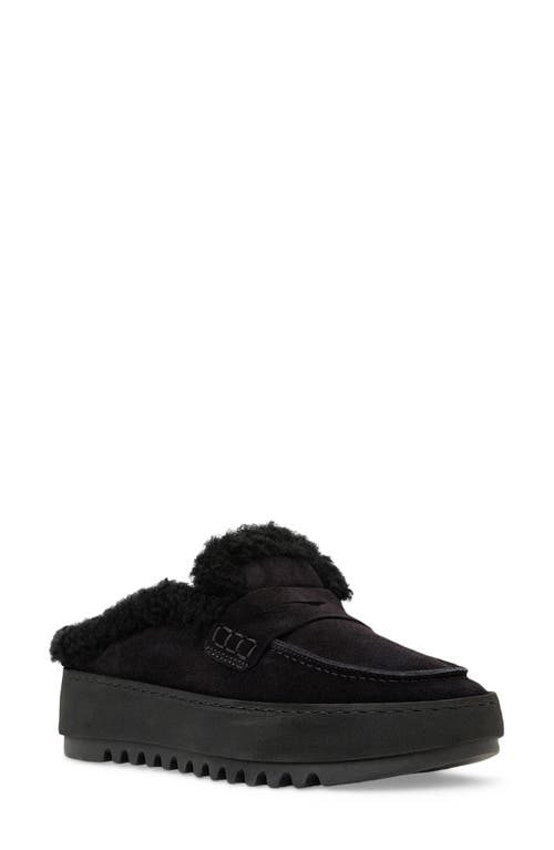 Aquatalia Amata Genuine Shearling Lined Mule In Black